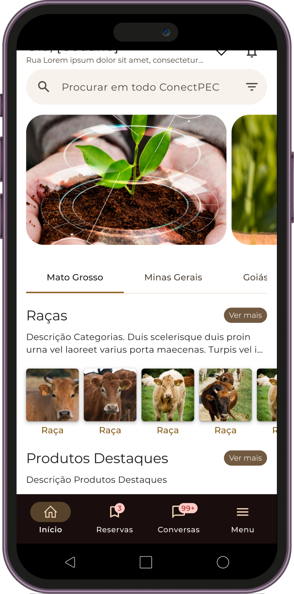 LoginMockup_ConectPEC_-2