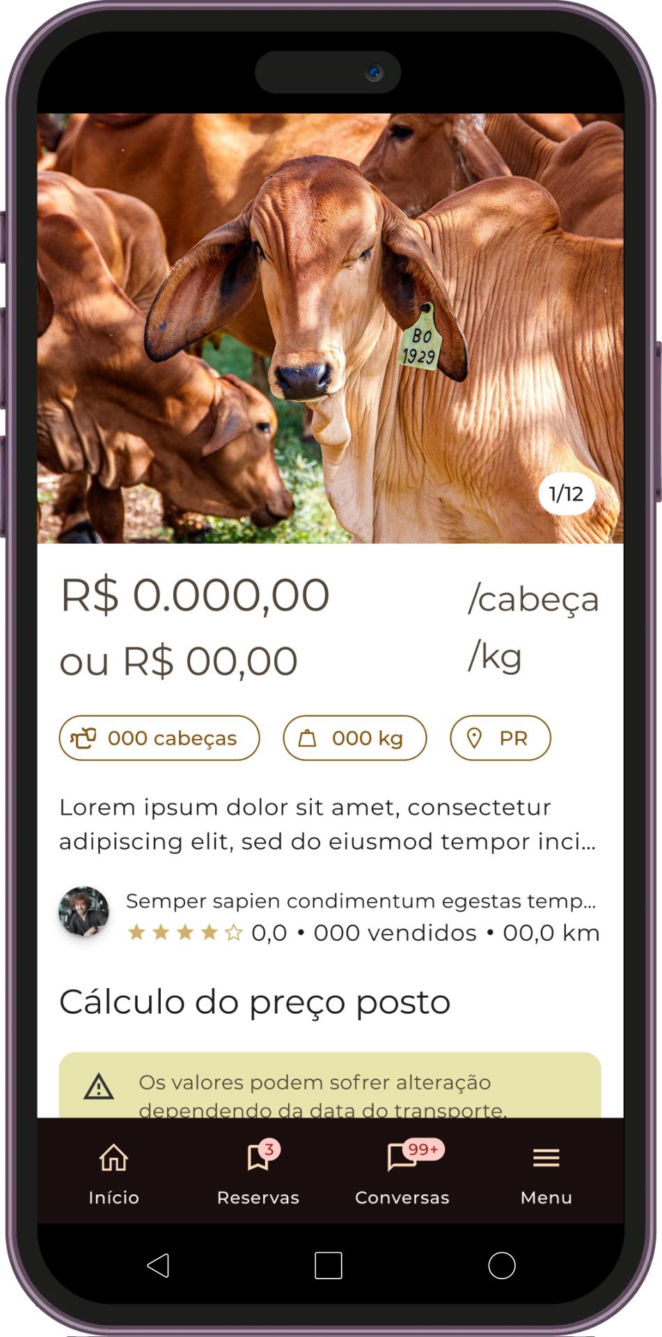LoginMockup_ConectPEC_-5